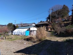 上伊那郡中川村大草　売家