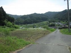 畑(家から500m位のところにあります) 畑(家から500m位のところにあります)