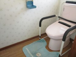 ウォシュレット付き水洗トイレ（公共下水）