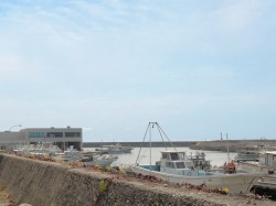 近くには漁港があり、瀬戸内海も見渡せます