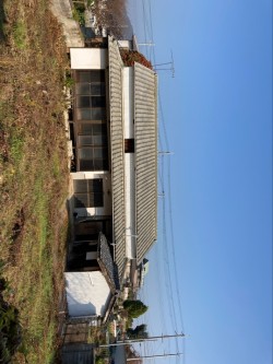 日当たりが良いお庭