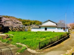 ドッグランにも使えます。