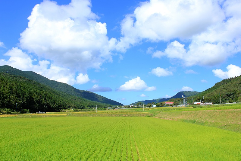 愛媛県 空き家バンク 田舎暮らし物件の総合サイト ビギンズ