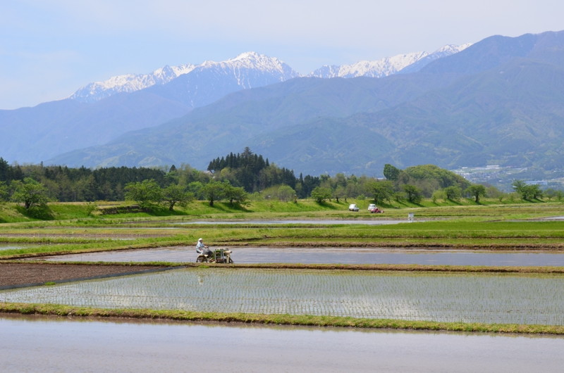 伊那市