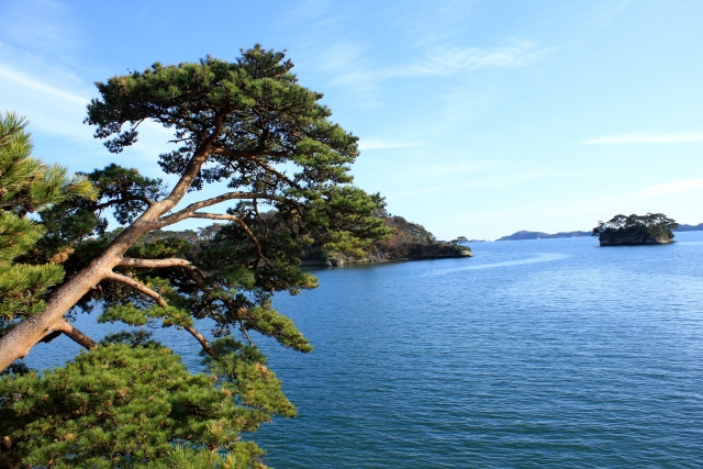 宮城の田舎暮らし