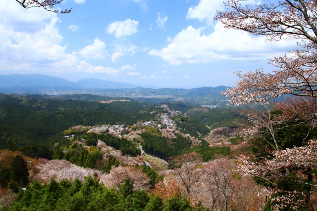 奈良の田舎暮らし