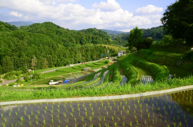 大阪の田舎暮らし